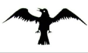 3' x 5'  Viking Raven nylon flag,