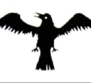 3' x 5'  Viking Raven nylon flag,