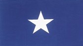 3 ft x 5 ft Bonnie Blue nylon flag