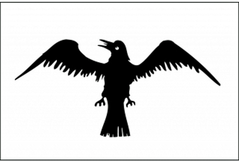 raven-flag