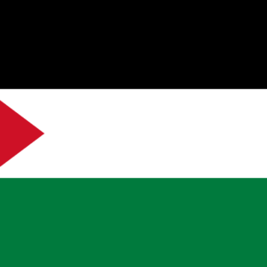 3'x5' Palestine Flag Internationl Flag Country Flag 