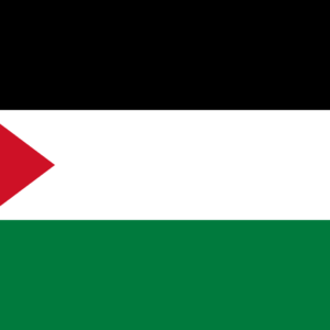 3'x5' Palestine Flag Internationl Flag Country Flag 3'x5' Palestine Flag Internationl Flag Country Flag